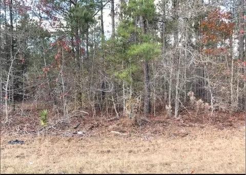 0 Scuffletown Rd, Garfield, GA 30425