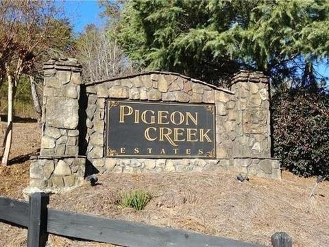 672 Pigeon Creek Dr, Dawsonville, GA 30534