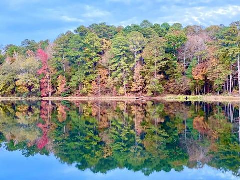 552 Island Shoals Rd, Covington, GA 30016