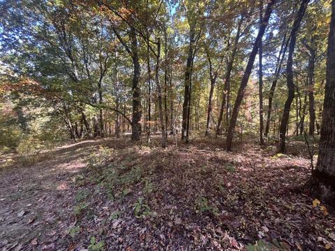 20 Wauka Mountain Road, Clermont, GA 30527