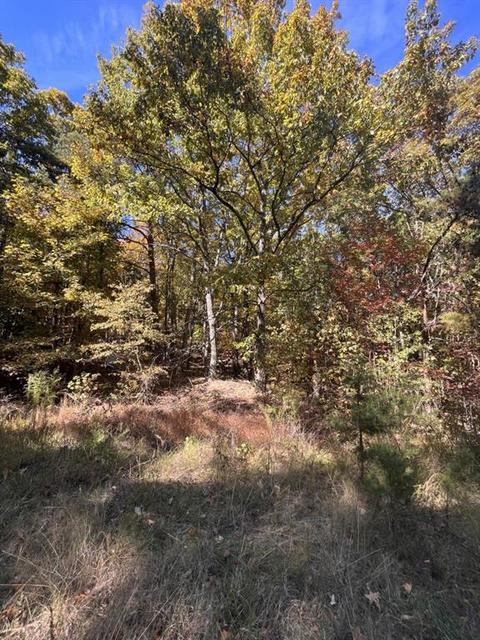 22 Wauka Mountain Road, Clermont, GA 30527