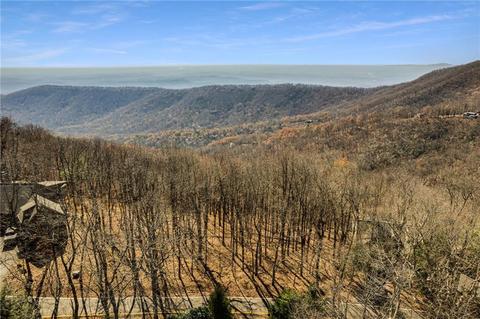 40 Sanderlin Mountain Dr S, Big Canoe, GA 30143