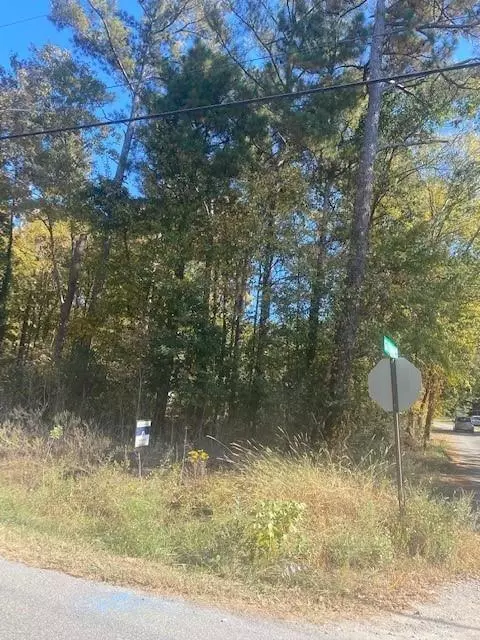 0 Old Sandtown Rd, Cartersville, GA 30121