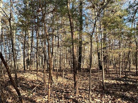0 Johnson Mountain Rd, Rydal, GA 30171 photo 27