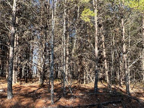 0 Johnson Mountain Rd, Rydal, GA 30171 photo 2
