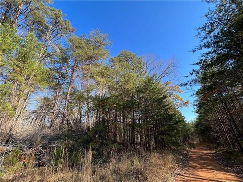 0 Johnson Mountain Rd, Rydal, GA 30171 photo 16