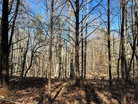 0 Johnson Mountain Rd, Rydal, GA 30171 photo 18