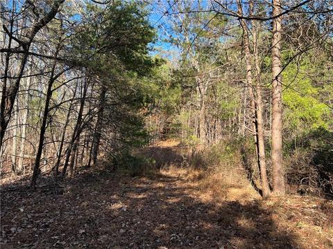 0 Johnson Mountain Rd, Rydal, GA 30171 photo 12