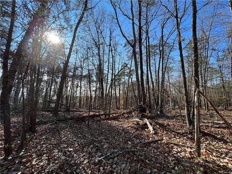 0 Johnson Mountain Rd, Rydal, GA 30171 photo 25