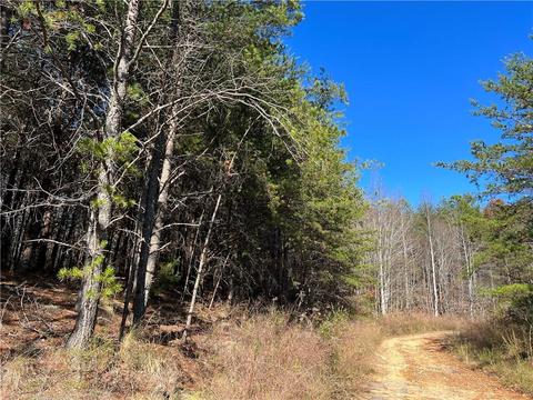0 Johnson Mountain Rd, Rydal, GA 30171 photo 13