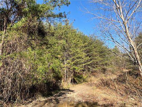 0 Johnson Mountain Rd, Rydal, GA 30171 photo 6
