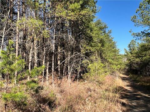 0 Johnson Mountain Rd, Rydal, GA 30171 photo 5