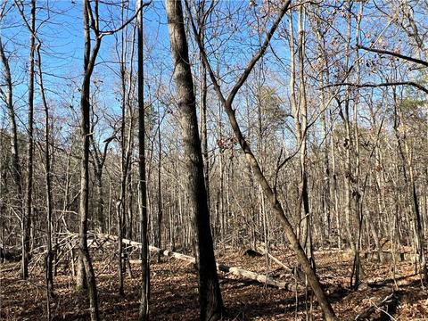 0 Johnson Mountain Rd, Rydal, GA 30171 photo 20