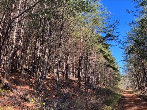 0 Johnson Mountain Rd, Rydal, GA 30171 photo 14