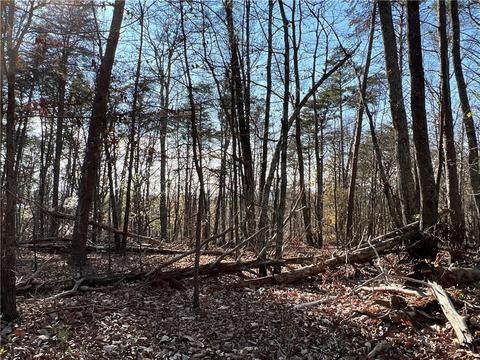 0 Johnson Mountain Rd, Rydal, GA 30171 photo 24