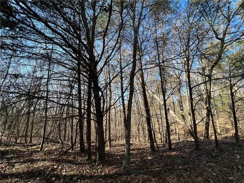 0 Johnson Mountain Rd, Rydal, GA 30171 photo 11