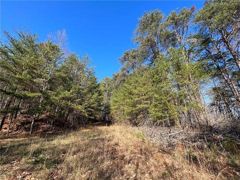 0 Johnson Mountain Rd, Rydal, GA 30171 photo 15