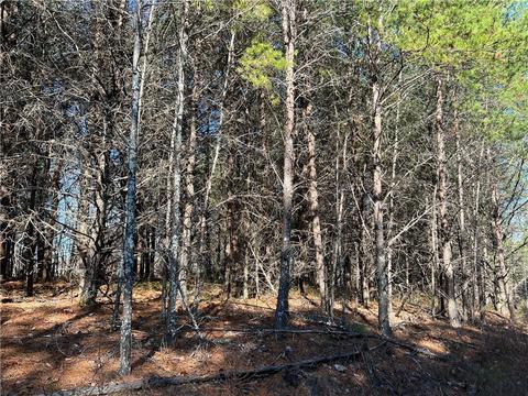 0 Johnson Mountain Rd, Rydal, GA 30171 photo 4