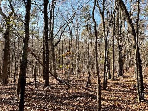 0 Johnson Mountain Rd, Rydal, GA 30171 photo 21