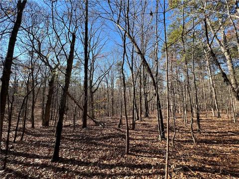 0 Johnson Mountain Rd, Rydal, GA 30171 photo 22