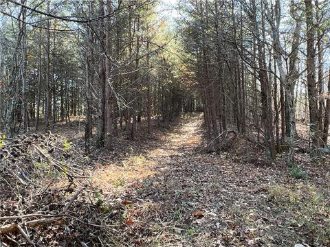 0 Johnson Mountain Rd, Rydal, GA 30171 photo 7