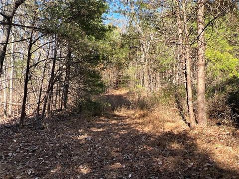 0 Johnson Mountain Rd, Rydal, GA 30171 photo 8