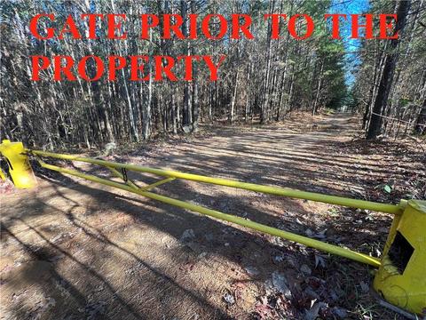 0 Johnson Mountain Rd, Rydal, GA 30171 photo 28