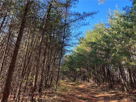 0 Johnson Mountain Rd, Rydal, GA 30171 photo 23