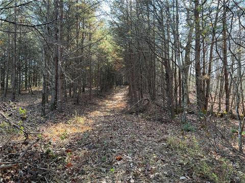 0 Johnson Mountain Rd, Rydal, GA 30171 photo 10