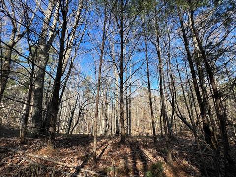 0 Johnson Mountain Rd, Rydal, GA 30171 photo 19