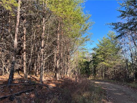 0 Johnson Mountain Rd, Rydal, GA 30171 photo 3