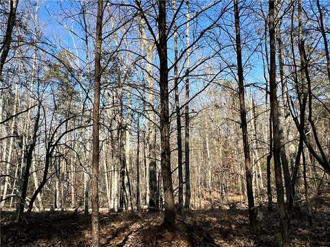 0 Johnson Mountain Rd, Rydal, GA 30171 photo 17