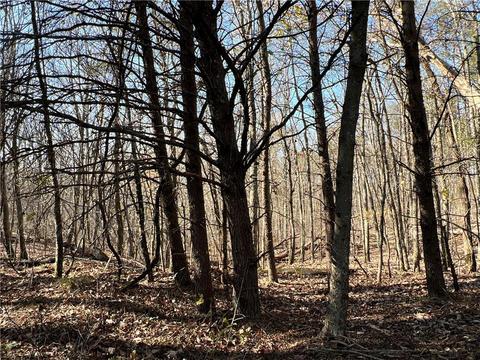 0 Johnson Mountain Rd, Rydal, GA 30171 photo 9