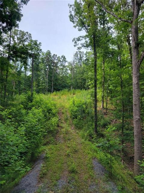 95195 Longbranch, Ranger, GA 30734