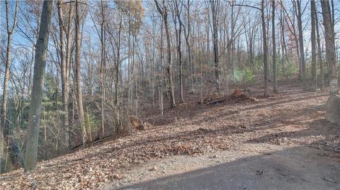 900 Echo Ln, Ranger, GA 30734 photo 5