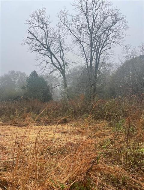 1670 Old Atlanta Rd, Cumming, GA 30041