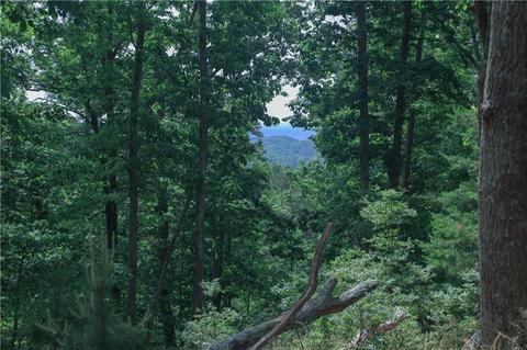 21 Signal Mountain Drive Dr SE, Cartersville, GA 30121