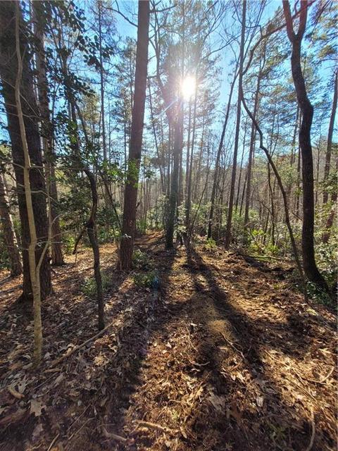 10 Etowah Drive, Dahlonega, GA 30533