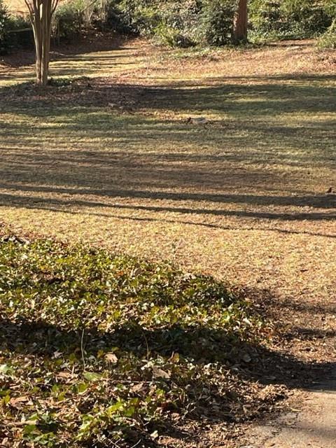 2916 Ashford Rd, Brookhaven, GA 30319