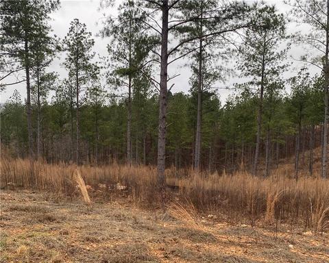 0 Barrel Knot Ct, Talking Rock, GA 30175