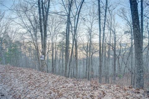 804 Lonsdale Ln, Ranger, GA 30734