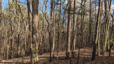 2309 Yanoo Trce, Big Canoe, GA 30143