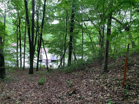 9 Toto Creek Drive West, Dawsonville, GA 30534