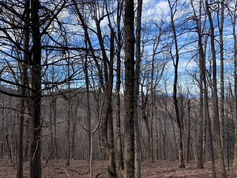 1341 Deer Run Rdg, Jasper, GA 30143