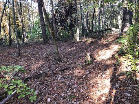 0 Teepee Trl, Whitesburg, GA 30185