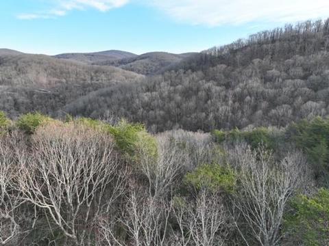 204 Stone Cliff Dr, Ellijay, GA 30536