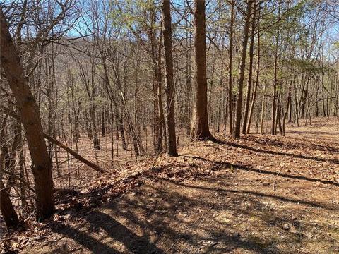 96 Sharp Mountain Pkwy, Jasper, GA 30143 photo 4