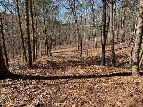 96 Sharp Mountain Pkwy, Jasper, GA 30143 photo 5