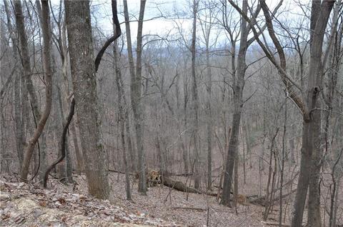 3012 Wild Turkey Blf, Big Canoe, GA 30143