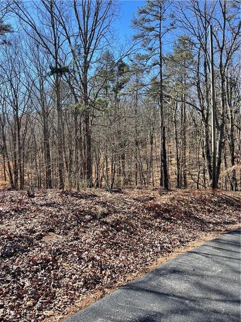 0 Anderson Lake Rd, Dawsonville, GA 30534